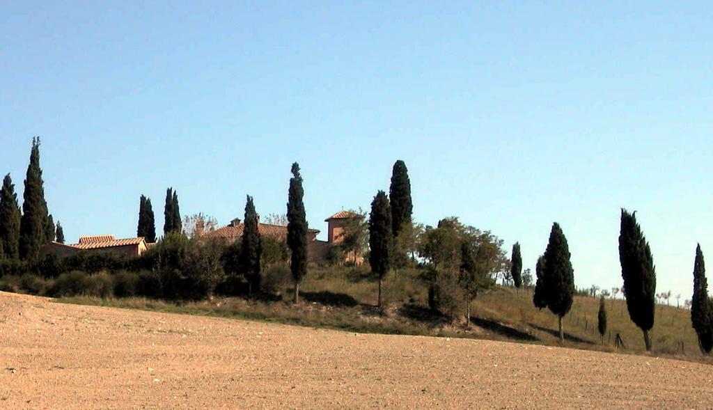 ホテル Castello Di Leonina Relais - Adults Only シエーナ エクステリア 写真